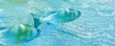 fish in a sea of ​​computer code