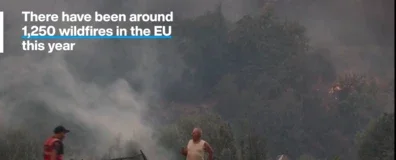 wildfire