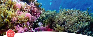 The Municipality of Vlora hosts the First WRECK4ALL Conference poster