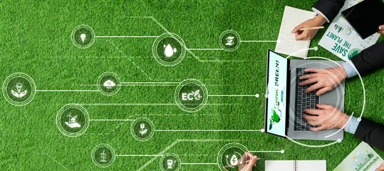 green lawn, computer, network