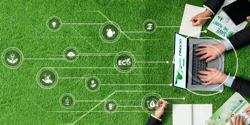 green lawn, computer, network